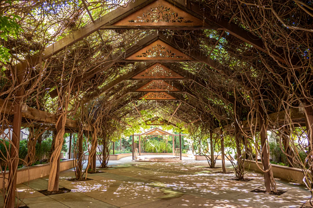 ABQ BioPark Botanic Garden