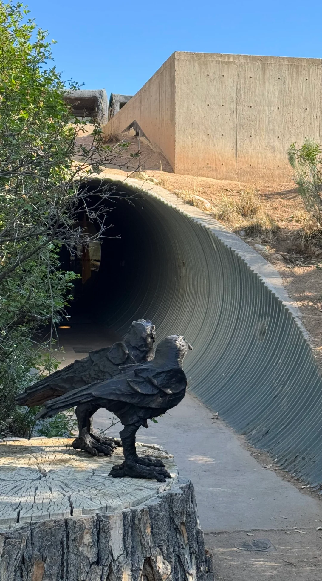 Rio Grande Nature Center